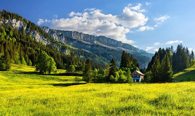Häuschen in den Bergen von Andreas Föll