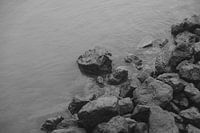 Stones in the Meuse