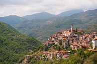 A Mountain Village in Italy van Brian Morgan thumbnail