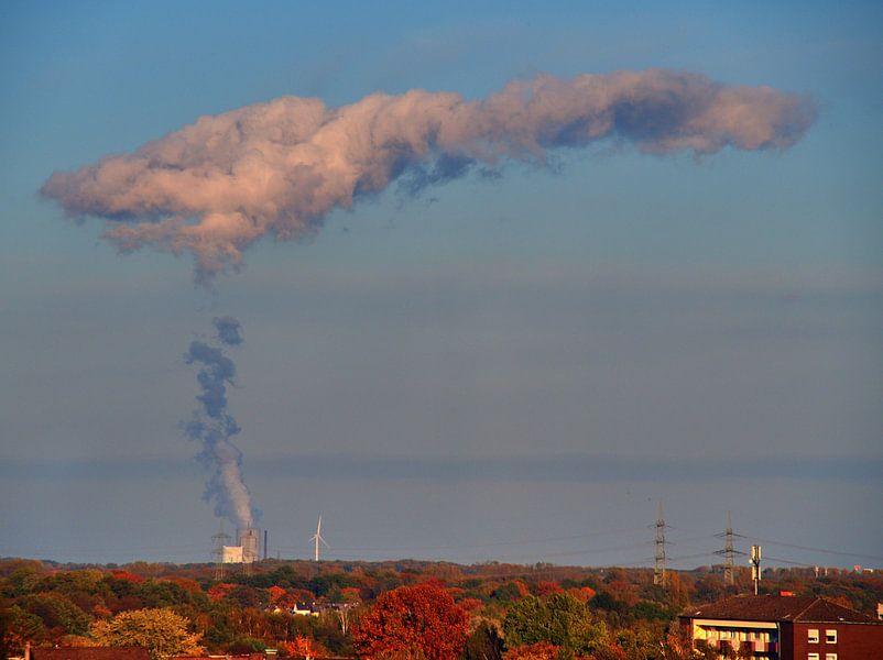 Nieuws van de wolkenfabriek van Edgar Schermaul