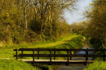 traverser le pont sur Irene Lommers