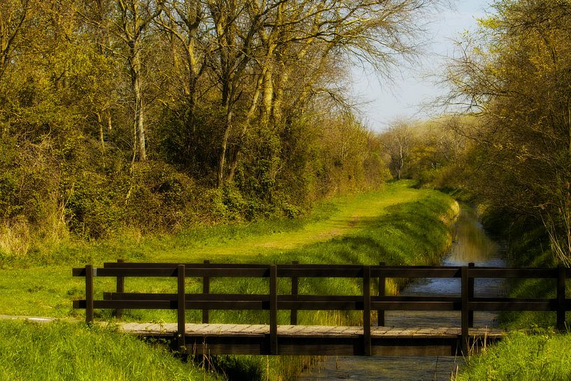 traverser le pont par Irene Lommers