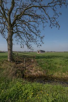 Schuur in weiland 02 by Moetwil en van Dijk - Fotografie