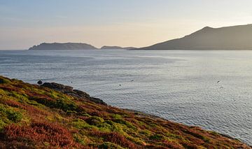 Malpica de Bergantiños, Spain - I by Jarne Buttiens