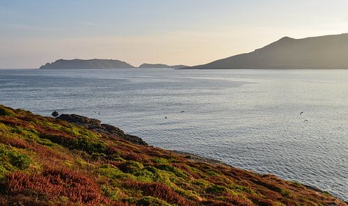Malpica de Bergantiños, Espagne - I