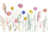 Dried flowers