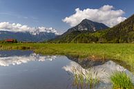 Biotoop met weerspiegeling van de Alpspitze en de Zugspitze van Andreas Müller thumbnail