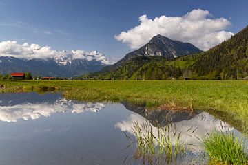 Biotoop met weerspiegeling van de Alpspitze en de Zugspitze