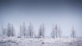 Wunderschöne Winterlandschaft