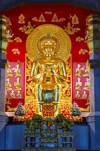 Sous le signe du Dharma