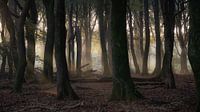 Speulderbos