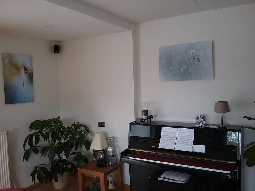 This doesn't feel like BLUES (Common Blue Butterfly Summer) by Bob Daalder