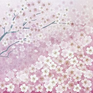 Sakura by Jacky