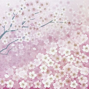 Sakura II van Jacky