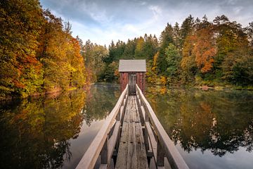 De Carler Vijver in de Oberharz