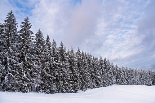 Landschap in de winter in het Thüringer Woud bij Schmied