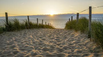 Dunes, plage et mer sur Dirk van Egmond