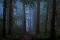 Fietsen in het donkere bos van Edwin Mooijaart thumbnail