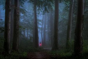 Riding through the dark forest sur Edwin Mooijaart