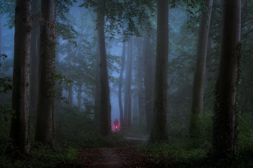 Fietsen in het donkere bos von Edwin Mooijaart