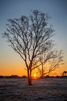 Sunrise strabrechtse heide