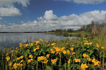 Landschaften in den Niederlanden von Paul van Gaalen, natuurfotograaf