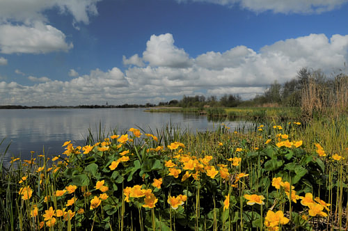 Landscapes of the Netherlands