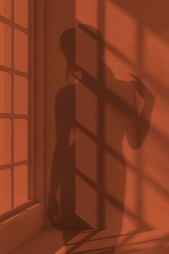 Afternoon Shadows