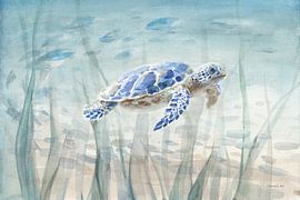 Tortue sous-marine, Danhui Nai sur Wild Apple