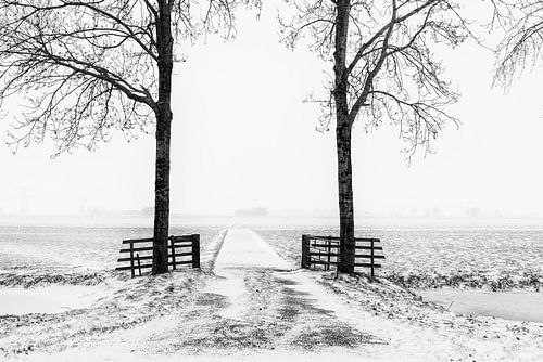Winters beeld in de Alblasserwaard