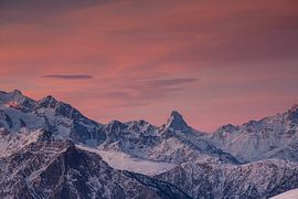 Alpenglühen während dem Sonnenaufgang im Winter am Walliser Matterhorn von Martin Steiner
