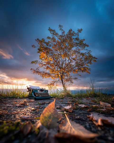 Schatten und Glanz von fernlichtsicht