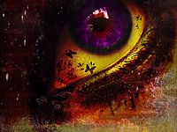 Fairy_night_eye_