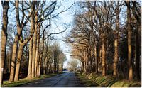 Langweg in Drenthe