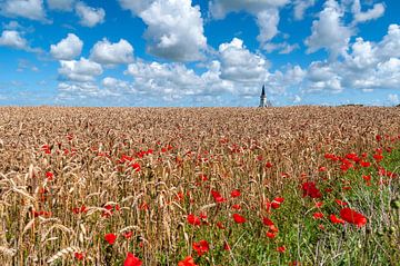 Grain field church Den Hoorn Texel by Ronald Timmer