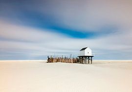 Summer is Coming van Wad of Wonders