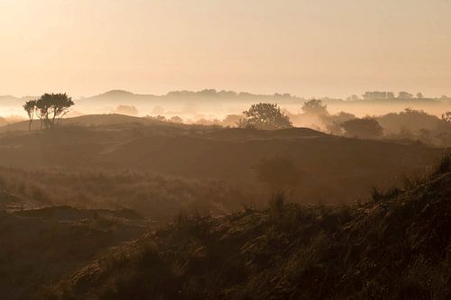 Amsterdamse Waterleiding Duinen