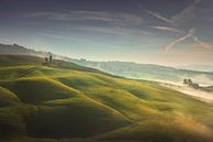 Volterra neblige Landschaft bei Sonnenaufgang von Stefano Orazzini Miniaturansicht