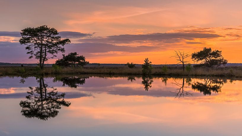 Sonnenuntergang in Holtveen, im Nationalpark Dwingelderveld von Henk Meijer Photography