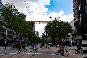 Rotterdam 2022