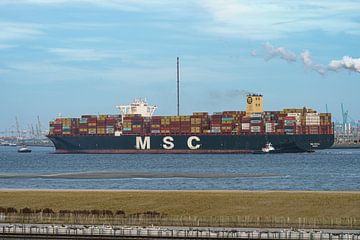 MSC Sveva containerschip.