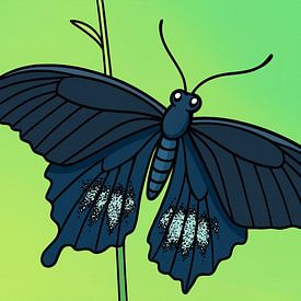 Papillon bleu sur tige verte (Papilio castor) sur Jose Lok