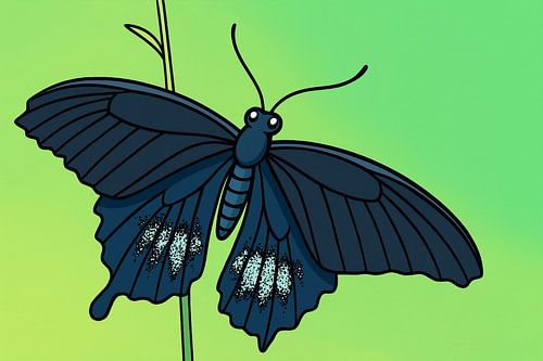 Papillon bleu sur tige verte (Papilio castor)