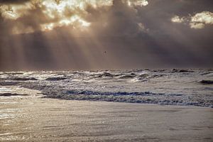 Strand van texel