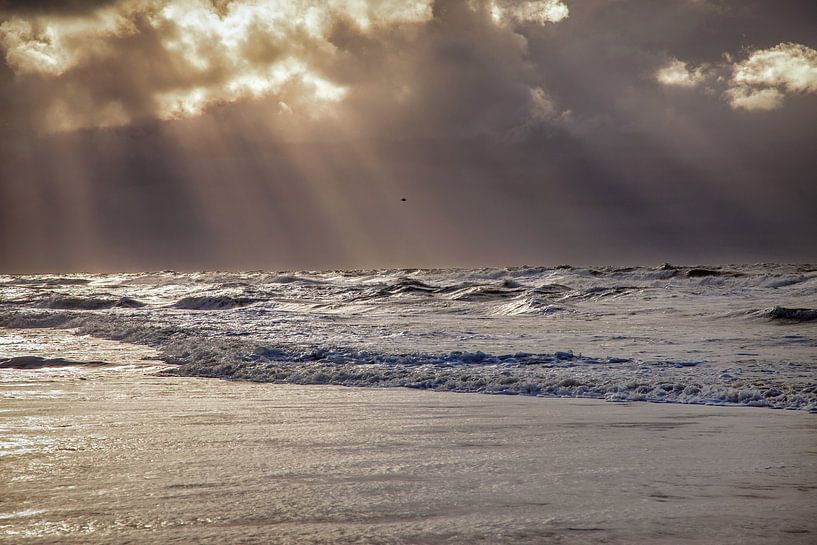 Strand van texel by Martijn Schruijer