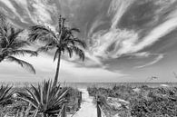 Path to the beach | Monochrome Impression by Melanie Viola thumbnail
