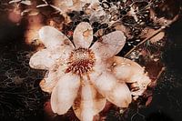 The fantasy world of Coneflower No.3