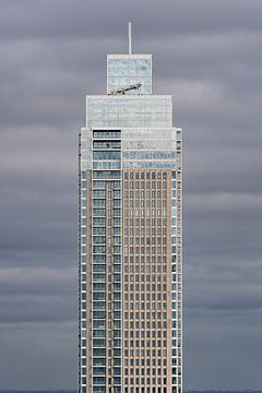 De Zalmhaventoren, Rotterdam van Jeroen van Eck