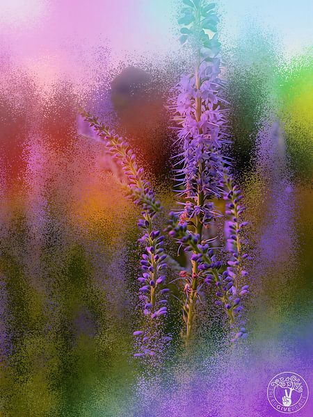 Purple Haze by treesgivepeace.nl