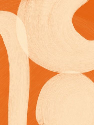 Colour Palette Orange - I